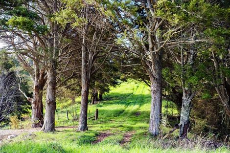 Photo of property in 1458 Ngunguru Road, Ngunguru, Whangarei, 0173