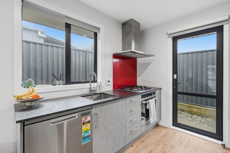 Photo of property in 18a-b Elizabeth Street, Gore, 9710