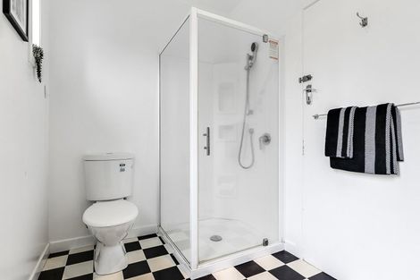 Photo of property in 87 Fox Street, Hamilton East, Hamilton, 3216