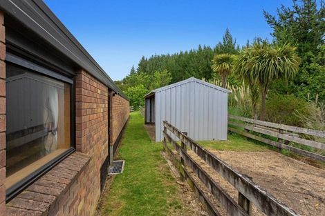 Photo of property in 468 White Pine Bush Road, White Pine Bush, Whakatane, 3192