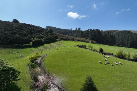 Photo of property in 252 Tirohanga Road, North Taieri, Mosgiel, 9092