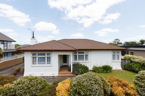 Photo of property in 316 Ruahine Street, Terrace End, Palmerston North, 4410