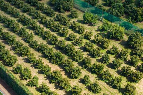 Photo of property in 42 Ferry Road, Waerengaahika, Gisborne, 4071