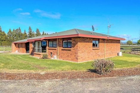 Photo of property in 151 Banks Road, Matamata, 3473