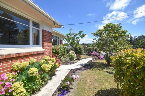 Photo of property in 369 Brighton Road, Waldronville, Dunedin, 9018