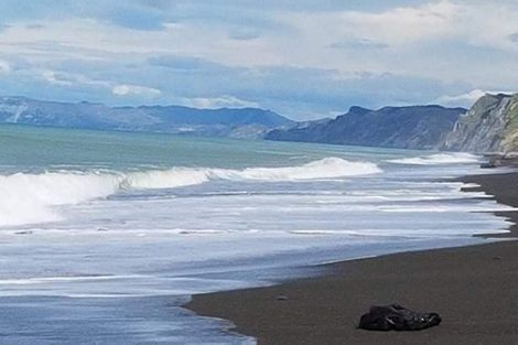 Photo of property in 14 Mitchell Road, Wairoa, 4108