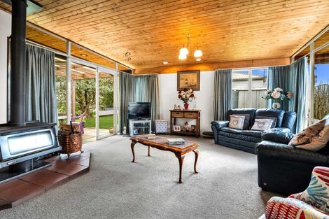 Photo of property in 1a Mitchell Street, Waipukurau, 4200