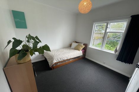 Photo of property in 13 Sussex Street, Levin, 5510