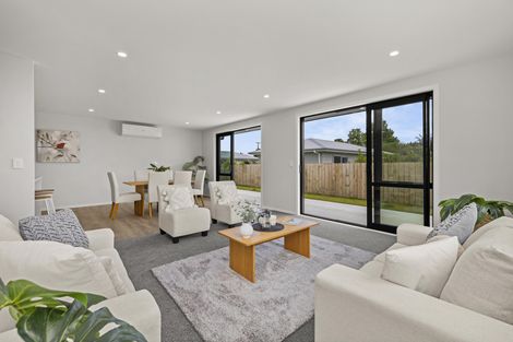 Photo of property in 152b Park Road, Horotiu, Hamilton, 3288