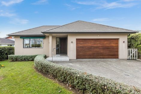 Photo of property in 41 Lucknow Road, Havelock North, 4130