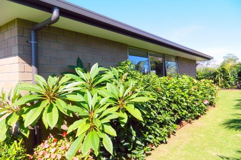 Photo of property in 58 Ranui Avenue, Kerikeri, 0230