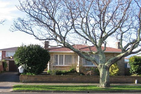 Photo of property in 351 Ruahine Street, Terrace End, Palmerston North, 4410