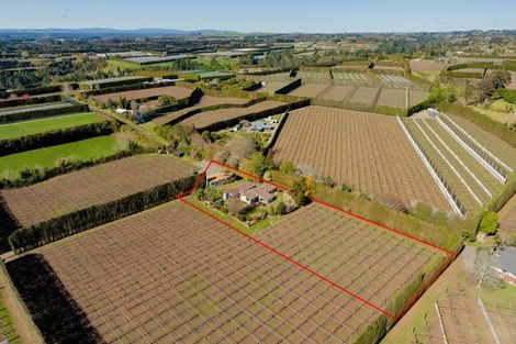 Photo of property in 26 Cheetham Avenue, Te Puke, 3182