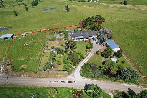 Photo of property in 52 Gallie Branch Road, Matakohe, 0594
