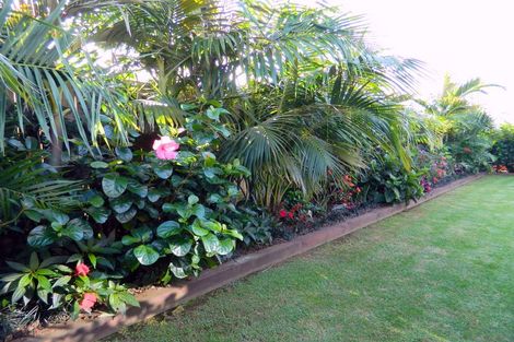 Photo of property in 58 Ranui Avenue, Kerikeri, 0230