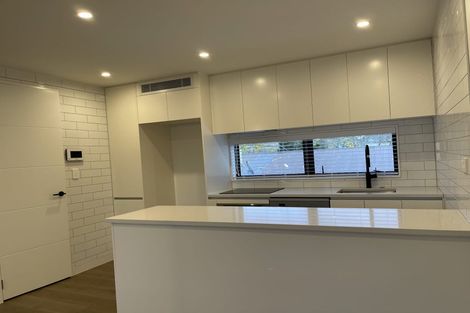 Photo of property in 17b Beckenham Avenue, Royal Oak, Auckland, 1023
