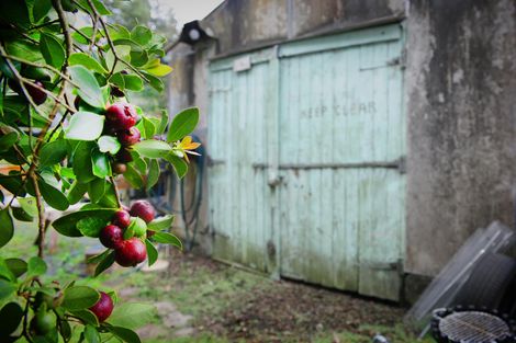 Photo of property in 113 Lewis Road, Karaka, Papakura, 2580