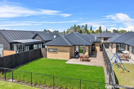 Photo of property in 7 Witte Street, Woodend, 7610