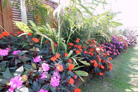 Photo of property in 58 Ranui Avenue, Kerikeri, 0230