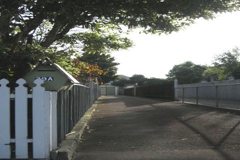 Photo of property in 39a Brunswick Street, Hutt Central, Lower Hutt, 5010