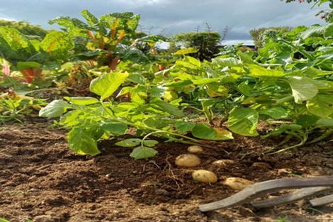 Photo of property in 140 Arapuni Lake Road, Wharepapa South, Pukeatua, 3880