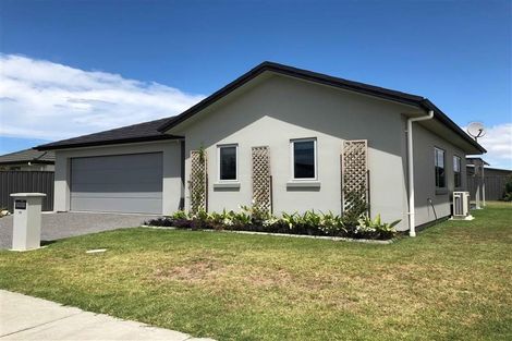 Photo of property in 17 Drake Crescent, Awatoto, Napier, 4110