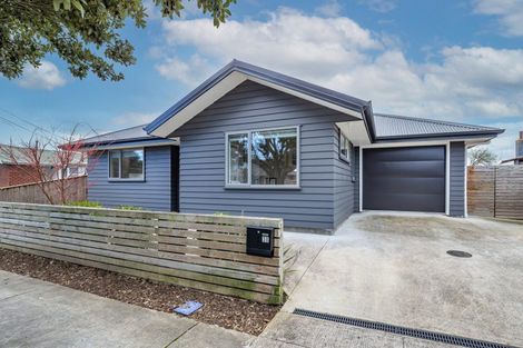 Photo of property in 30 Duke Street, Levin, 5510