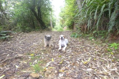 Photo of property in 26 Lookout Drive, Little Valley, Alexandra, 9320