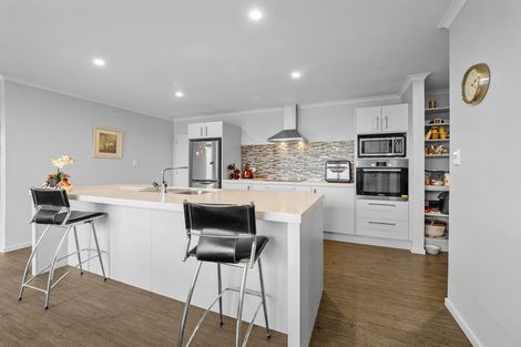 Photo of property in 65 Winslow Willowby Road, Winslow, Ashburton, 7775