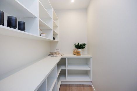 Photo of property in 29a Hardie Street, Hokowhitu, Palmerston North, 4410