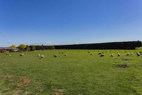 Photo of property in 1585 Clintons Road, Darfield, 7571