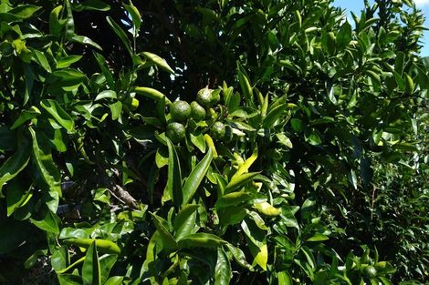 Photo of property in 30b Bleakhouse Road, Howick, Auckland, 2014