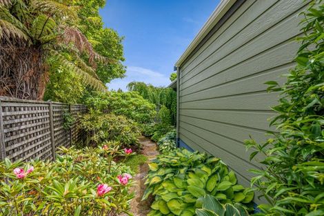 Photo of property in 37 Cassandra Street, Stratford, 4332