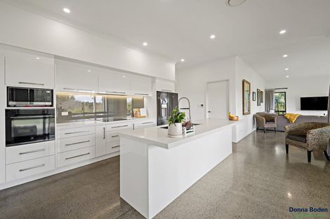 Photo of property in 88 Clark And Denize Road, Pukekawa, Tuakau, 2696