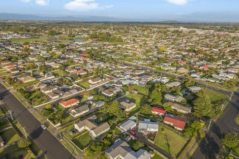 Photo of property in 43 Goodwin Avenue, Morrinsville, 3300
