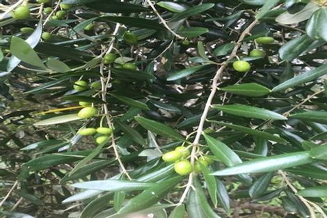 Photo of property in 642 Matapouri Road, Matapouri, Whangarei, 0173