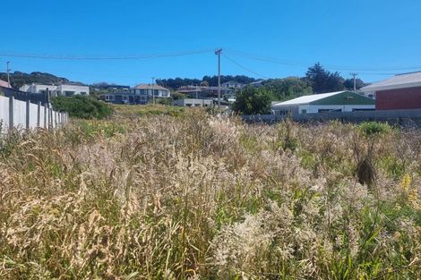 Photo of property in 30 Blackwater Street, Bluff, 9814