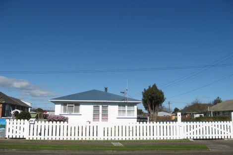 Photo of property in 17 Kauri Street, Levin, 5510