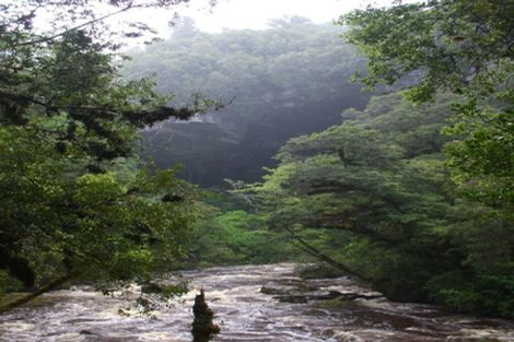 Photo of property in 61 Glasseye Drive, Little Wanganui, Karamea, 7893