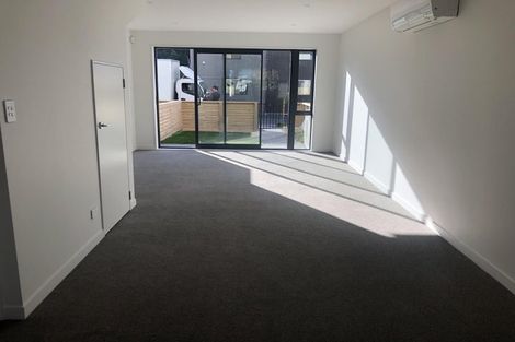 Photo of property in 3/124 Britomart Street, Berhampore, Wellington, 6023