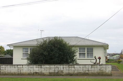 Photo of property in 10 Grenville Street, Levin, 5510