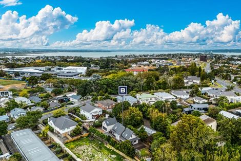 Photo of property in 73b Woodward Road, Mount Albert, Auckland, 1025