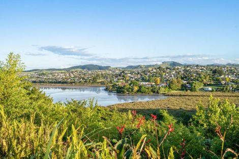 Photo of property in 20 Te Mutu Crescent, Maungatapu, Tauranga, 3112