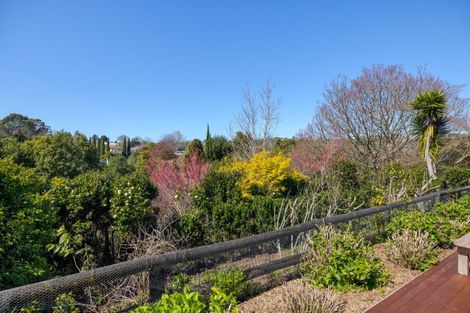 Photo of property in 47 Emmerdale Place, Ohauiti, Tauranga, 3112