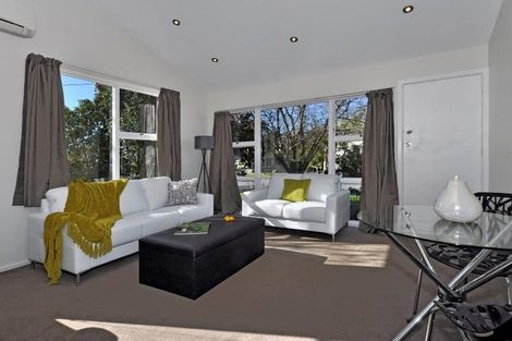 Photo of property in 111 Packe Street, Edgeware, Christchurch, 8013