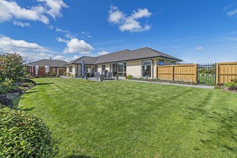 Photo of property in 39 Chervier Street, Leeston, 7632