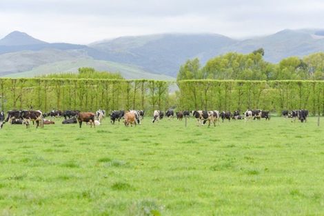 Photo of property in 939 Hudsons Road, Motukarara, Tai Tapu, 7674