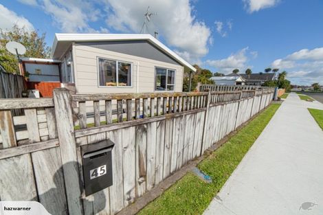 Photo of property in 45 Seyton Street, Stratford, 4332