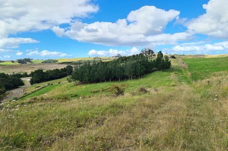 Photo of property in 304 Arapaoa Road, Tinopai, Matakohe, 0593