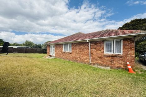 Photo of property in 13 Reiman Street, New Lynn, Auckland, 0600